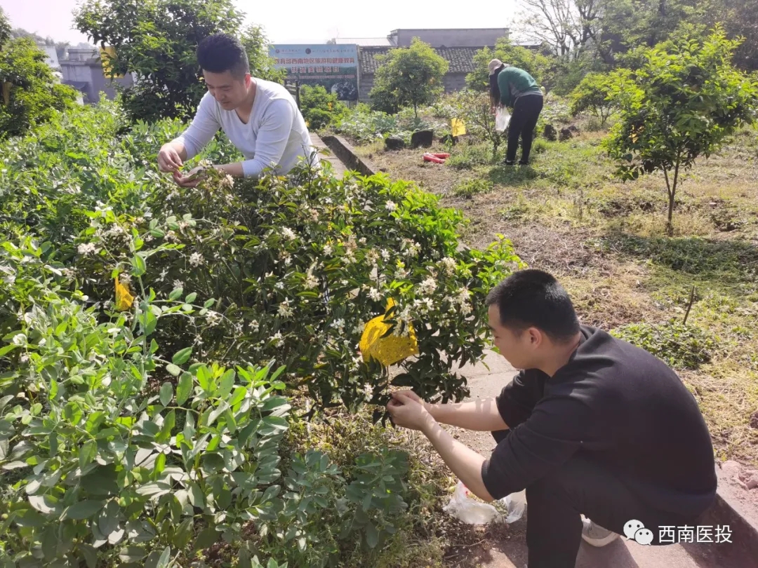 天植中藥公司黨支部開展黨史學(xué)習(xí)教育